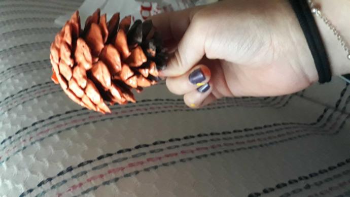 Kızlar Evde! Kim Demiş Evde Sıkılıyoruz Diye, Bakın Bütün Gün Neler Yaptım?
