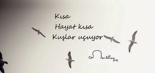 Hayattan istediklerinizi değiştirin !