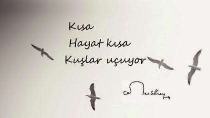 Hayattan istediklerinizi değiştirin!