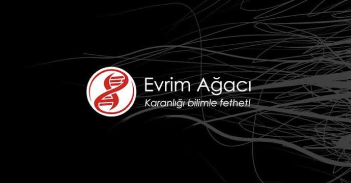 🧬 Evde Bilimle Kal! Evde Kalırken Aynı Zamanda Kendini Geliştirmek İsteyenlere Bilgi Dolu 4 İçerik!