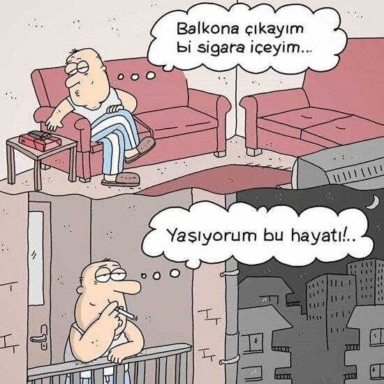 Hayat Eve Şimdi Sığar: Birbirinden İlginç Fotoğraflar ve Bilgilerle Ortaya Karışık Bir Bence