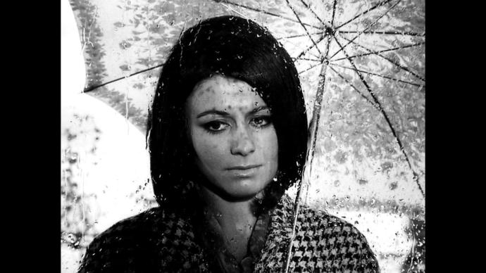 Hayat Eve Şimdi Sığar: Birbirinden İlginç Fotoğraflar ve Bilgilerle Ortaya Karışık Bir Bence