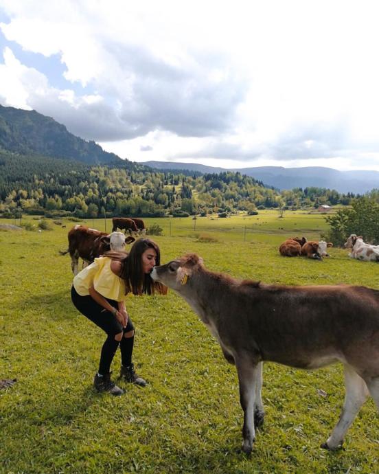 Artvin