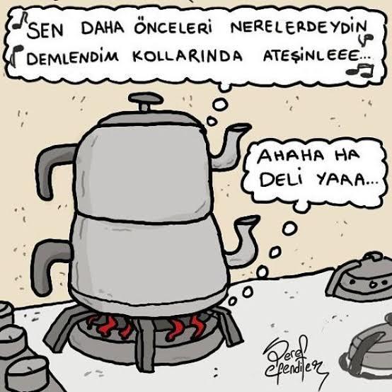 Karantinada Olanların Stresini Azaltacak Şifalı Bitki Çayları!