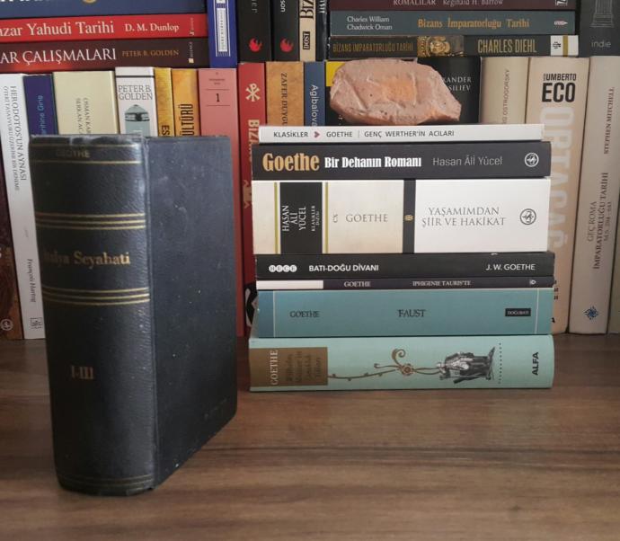 (Mütevazı Goethe kitaplığım)
