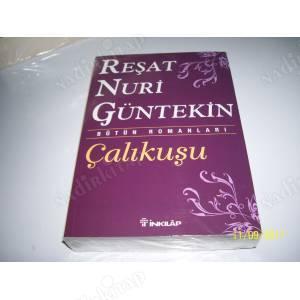 Karantinada Okumanız İçin Size En Sevdiğim 5 Kitabı Öneriyorum!