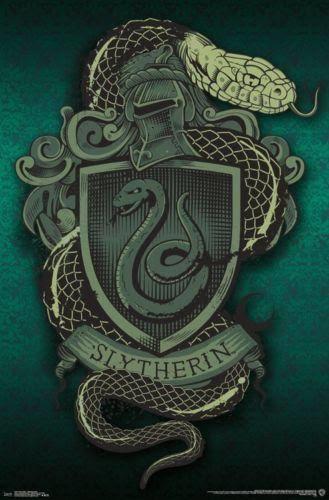 Burcuna Göre Hangi Harry Potter Grubundasın?