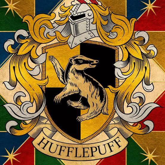 Burcuna Göre Hangi Harry Potter Grubundasın?