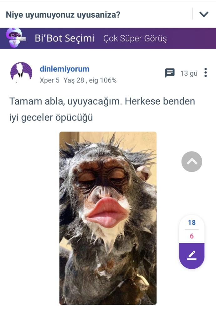 Tövbe est. 😐