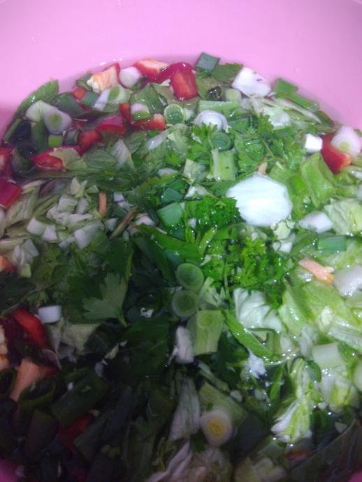 Her Derde Deva Salataya Yeni Yaklaşım: Hindi Filetolu Yeşil Salata