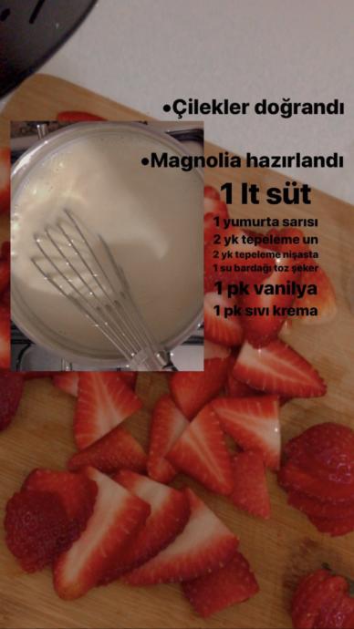 Evde Kaldığımız Süreçte Yapabileceğiniz En Basit Tatlı: Magnolia