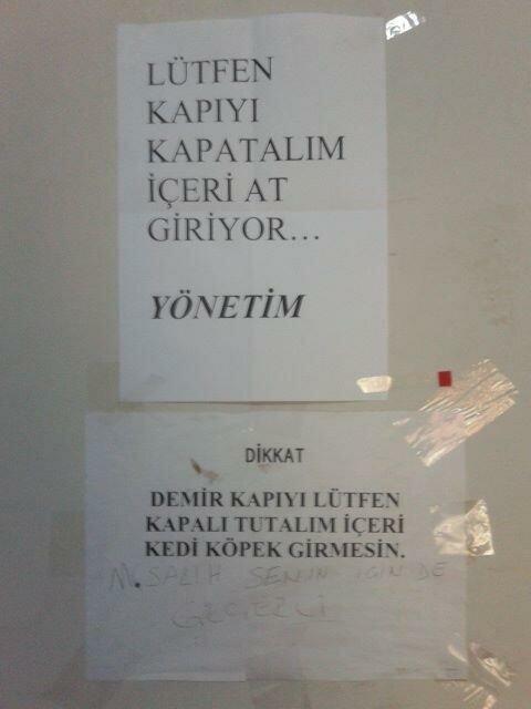Kabus Öğrenciler İçin İki Kelimedir: Öğrenci İşleri!