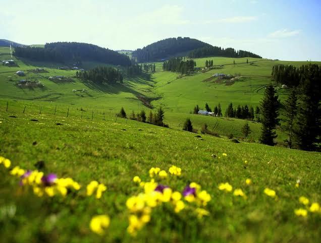 Karadeniz Bölgesinde Gezilecek Yerler Listesi