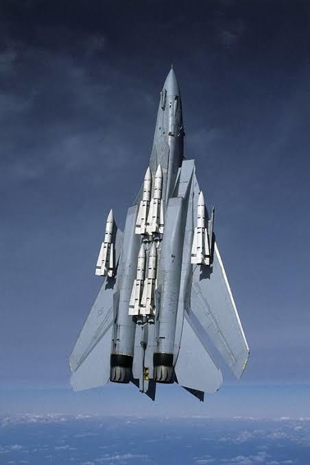 Multi AA füzeleri ile görünen F-14