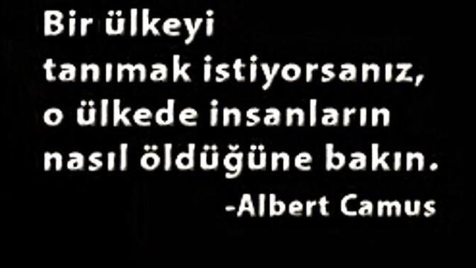 Kadınlara yönelik cinayet, tecavüz, taciz ve istismarı durdurun!