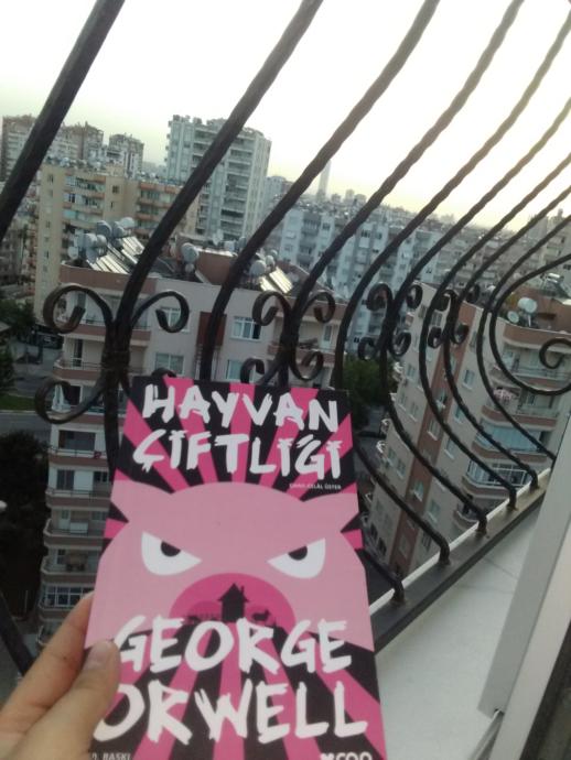 Evde Kalanlara Mutlaka Okunması Gereken 5 Kitap