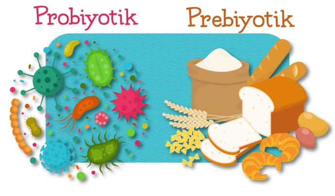 Besinlerin Sinerjik Etkileri