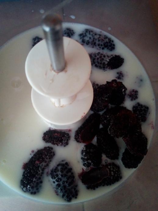 Karadut Sevenlere Karadutlu Dondurma Tarifi 🍧🍨🍦😋