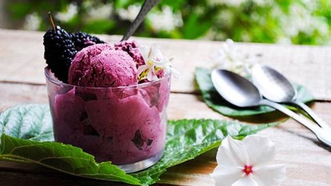 Karadut Sevenlere Karadutlu Dondurma Tarifi 🍧🍨🍦😋