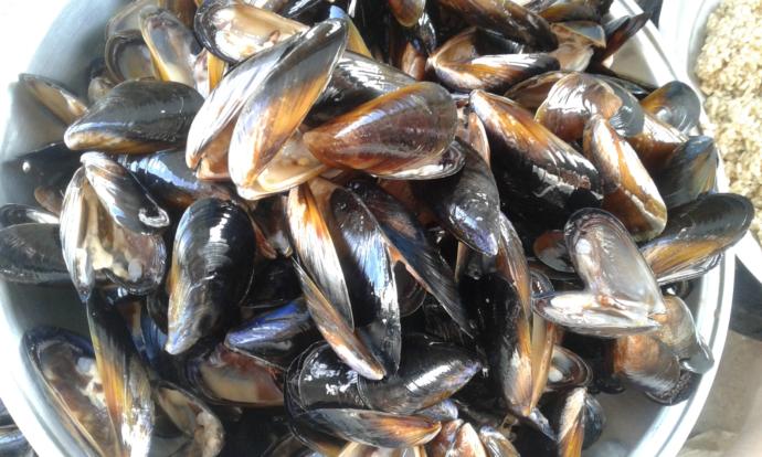 200. Bencem İçin Özel Tarif: Midye Dolma Yaptım🎉