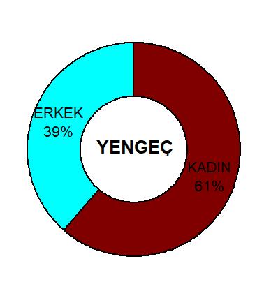 Sitemizde Hangi Burçlar Cirit Atıyor Gelin İnceleyelim
