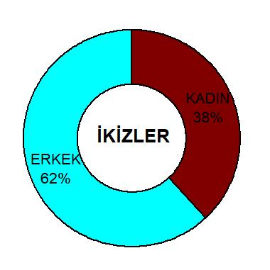 Sitemizde Hangi Burçlar Cirit Atıyor Gelin İnceleyelim