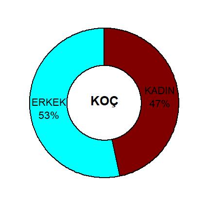 Sitemizde Hangi Burçlar Cirit Atıyor Gelin İnceleyelim