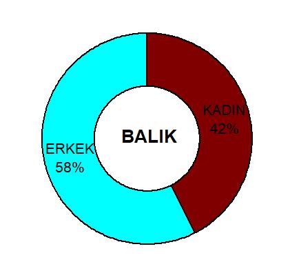 Sitemizde Hangi Burçlar Cirit Atıyor Gelin İnceleyelim