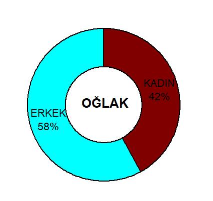 Sitemizde Hangi Burçlar Cirit Atıyor Gelin İnceleyelim