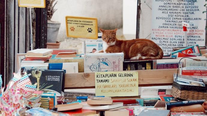 Maviyle, Yeşilin Her Tonuna Aşık Kalacağınız; İzmirin Şirin İlçesi: Urla!