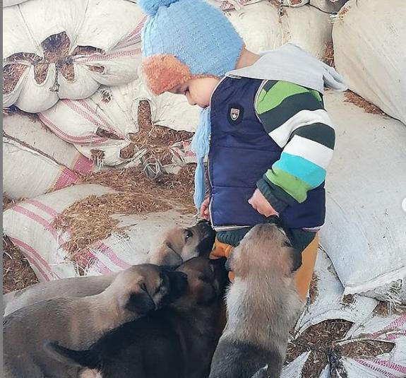 Benim Bebeklerim ve Köpeklerle İlgili Gerçekler