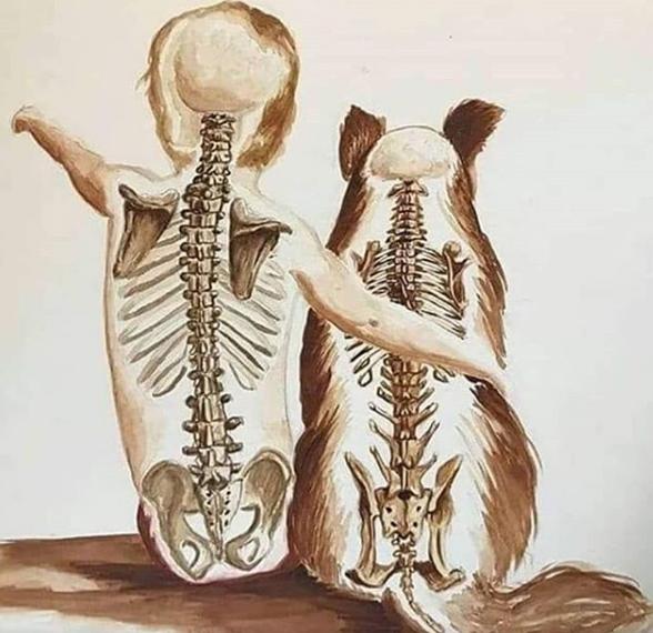 Benim Bebeklerim ve Köpeklerle İlgili Gerçekler