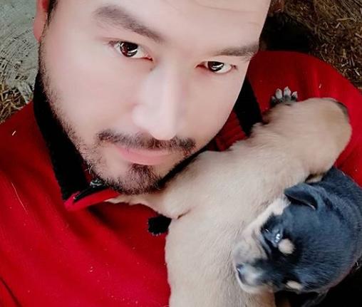 Benim Bebeklerim ve Köpeklerle İlgili Gerçekler