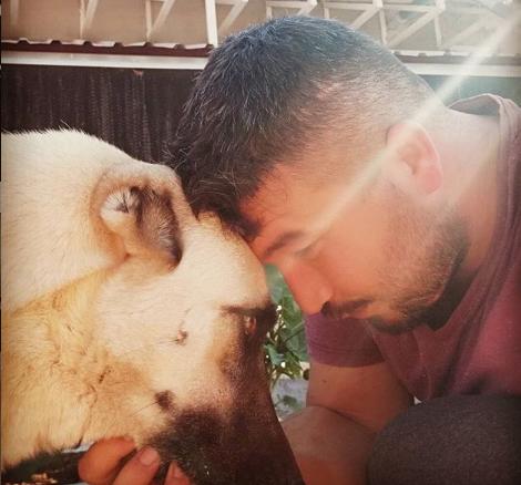 Benim Bebeklerim ve Köpeklerle İlgili Gerçekler