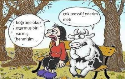 Erkekler Nasıl Öküzleşir Adlı Çalışmaya Hoş Geldiniz!