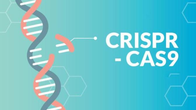 CRISPR Teknolojisi Nasıl Çalışır?
