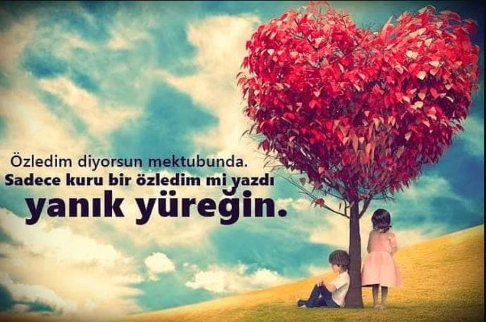 Bu dünyada bir tek kupa kızında kalp var. Oda kendini kumarda harcıyor ...!!