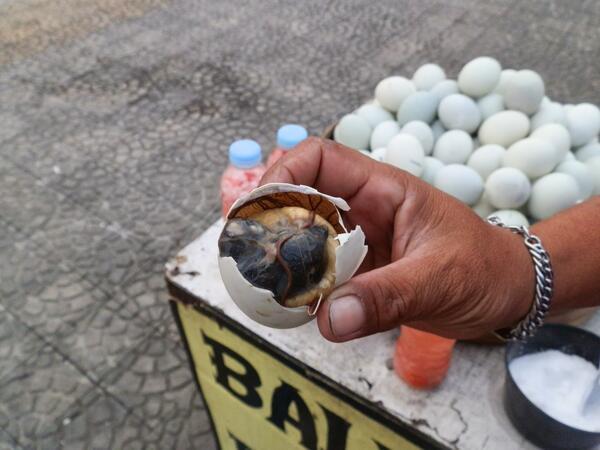 Balut