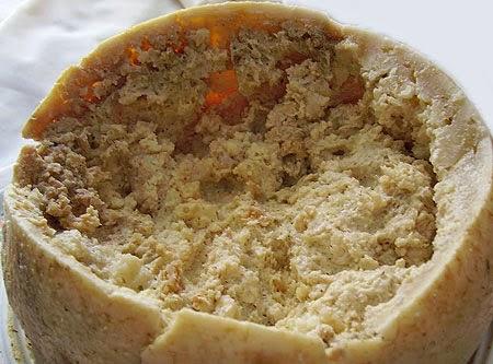 Casu Marzu