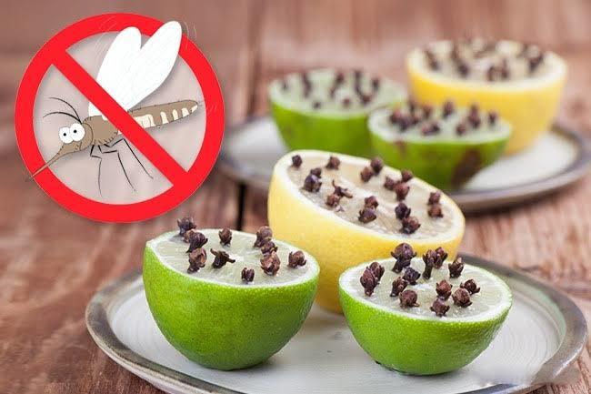 Limon Kabuğuyla Böceklerden Kurtulun!