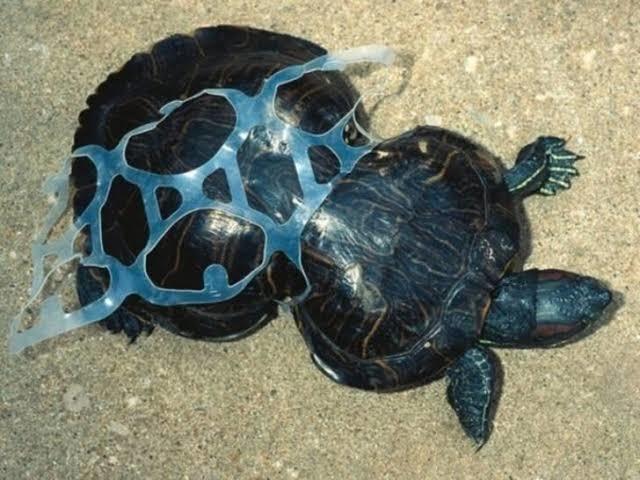 Dünyanın Plastik Çöplüğü Türkiye!