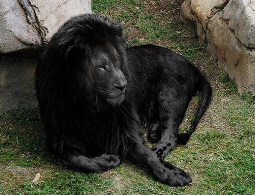 Bu Fotoğraf Montajdır