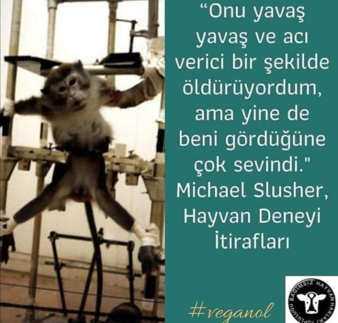 Hayvan Deneyleri Hakında Korkunç Gerçekler!