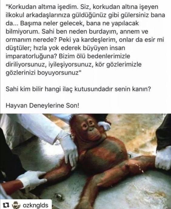 Hayvan Deneyleri Hakında Korkunç Gerçekler!