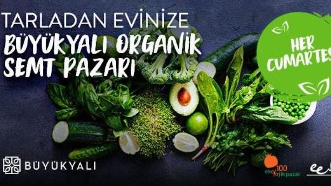 Zeytinburnu Büyükyalı Organik Semt Pazarı Açılıyor