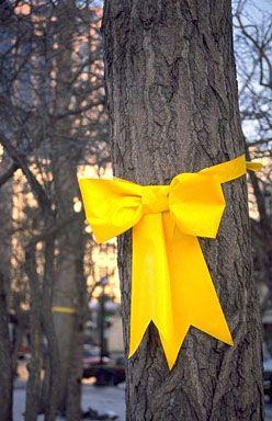 Tie a Yellow Ri̇bbon: Gerçek Bir Öykü!