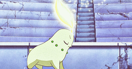 Chikorita