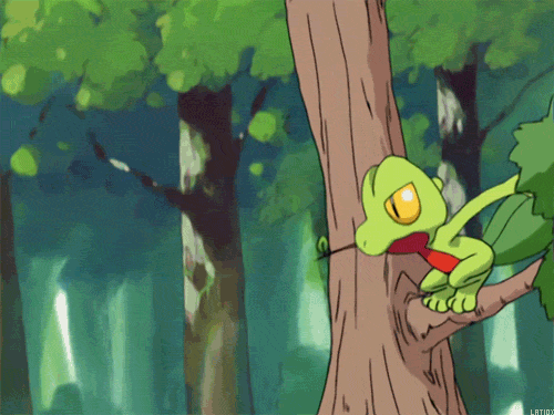 Treecko