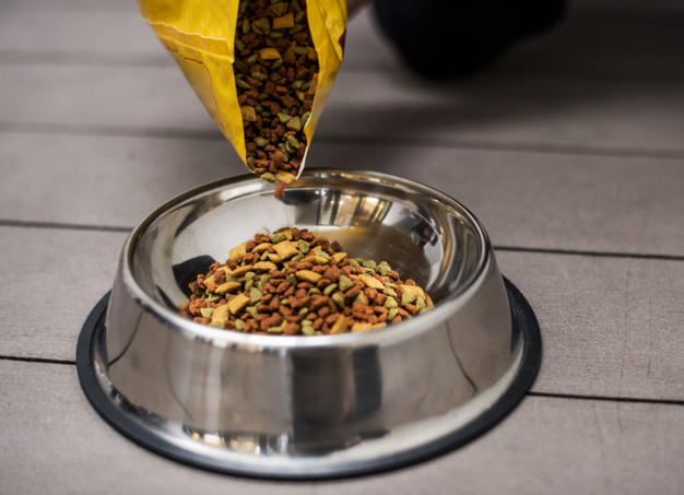 Kedi Sahipleri Buraya! Kedi Maması Seçerken Dikkat Edilmesi Gerekenler!