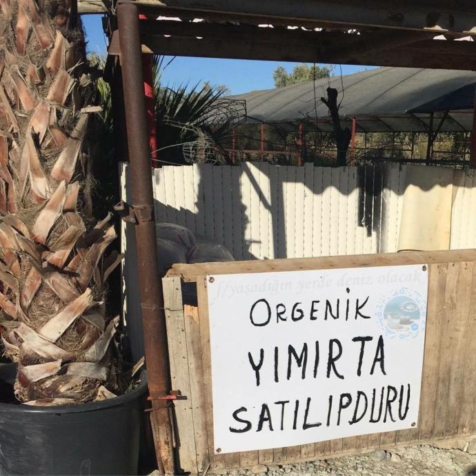 No Speak English: 10 Örneğiyle Türkiye'de Yaşanan İngilizce Terörü ve Canım Yurdum İnsanı